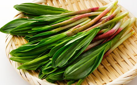 【黒部市特産品】行者にんにく醤油漬け3瓶セット/富山県黒部市 加工食品 野菜加工品 瓶詰 疲労回復効果 体力増強 ご飯のお供 おかず お酒のあて つまみ 