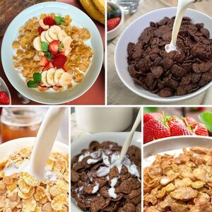 日食コーンフレークセット 5種類10点(A06)