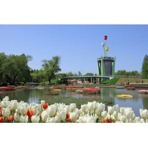 【まると牛乳】　富山県砺波市から瓶製品　牛乳・珈琲　お届け_卵・乳製品  牛乳 ミルク みるく  飲料・ドリンク 飲料 コーヒー・コーヒー豆 _【配送不可地域：離島・北海道・沖縄県】【1466752】