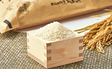 【令和7年産】となみ野米こしひかり5kg_ 精米 米    コシヒカリ 米 こしひかり_【1397287】