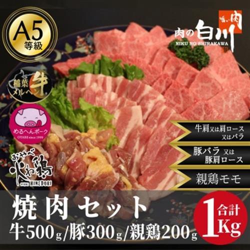 おやべのお肉焼肉セット1kg(和牛カルビ500g・豚300g・親鶏200g)【配送不可地域:離島・北海道・沖縄県・東北・中国・四国・九州】【1291450】