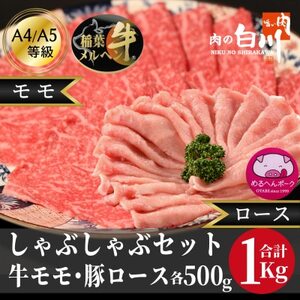 牛豚しゃぶしゃぶセット1kg(和牛モモ500g・豚ロース500g)【配送不可地域：離島・北海道・沖縄県・東北・中国・四国・九州】【1291451】