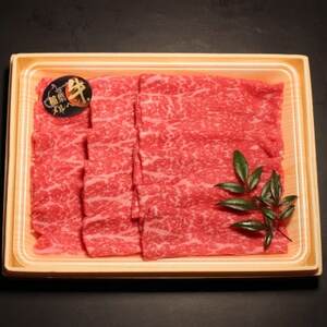 牛豚しゃぶしゃぶセット1kg(和牛モモ500g・豚ロース500g)【配送不可地域：離島・北海道・沖縄県・東北・中国・四国・九州】【1291451】