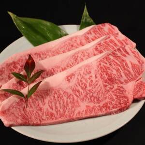 稲葉メルヘン牛(A4-A5) サーロインステーキ(210g×3枚)【配送不可地域:離島・北海道・沖縄県・東北・中国・四国・九州】【1291453】