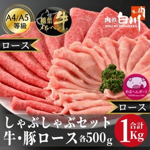 牛豚しゃぶしゃぶセット1kg(和牛ロース500g・豚ロース500g)【配送不可地域：離島・北海道・沖縄県・東北・中国・四国・九州】【1291454】