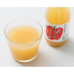 【2ヵ月毎定期便】丸ごとサンふじりんごジュース 1L×2本全6回【4058404】