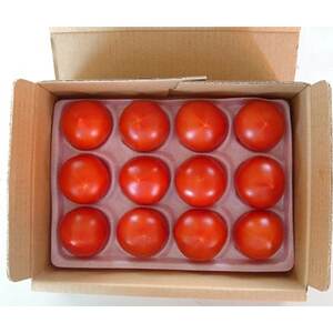 お試しサイズ!フルーツトマト「深層水トマト」約700g【濃厚な甘みと旨み】【1650498】