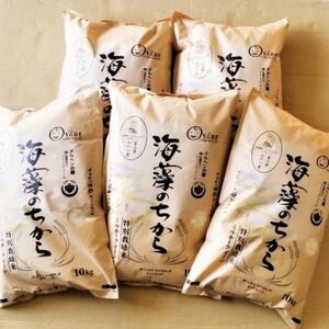 【毎月定期便】ミルキークイーン(海藻のちから)(精米)10kg全5回【4075148】