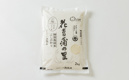 特別栽培米4kg(精米/ミルキークイーン・コシヒカリ 各2kg)【1290531】