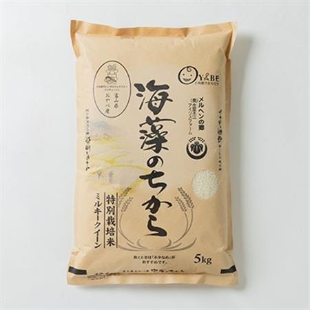 特別栽培米10kg(精米/ミルキークイーン・コシヒカリ　各5kg)【1290532】