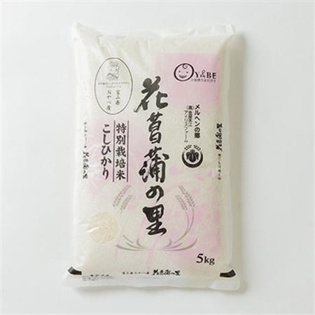特別栽培米10kg(精米/ミルキークイーン・コシヒカリ　各5kg)【1290532】