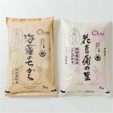 特別栽培米10kg(精米/ミルキークイーン・コシヒカリ　各5kg)【1290532】