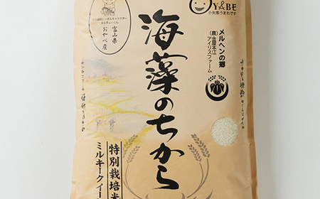 特別栽培米20kg (精米/ミルキークイーン10kg×2)【1290533】