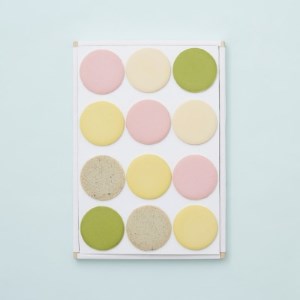 T五 40枚入【1291205】