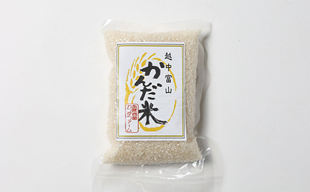 鮮度の米　かんだ米『コシヒカリ』精米　真空パック　2合×12袋【1377690】
