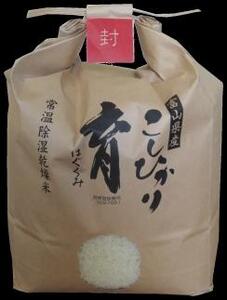【令和7年産】富山県産こしひかり　育（はぐくみ）白米２個セット 3kg×2個 《南砺の逸品》