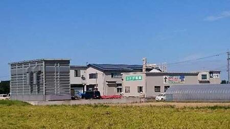 【令和7年産】富山県産こしひかり　育（はぐくみ）白米２個セット 3kg×2個 《南砺の逸品》