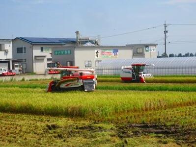 【令和7年産】富山県産こしひかり　育（はぐくみ）白米１０kg《南砺の逸品》
