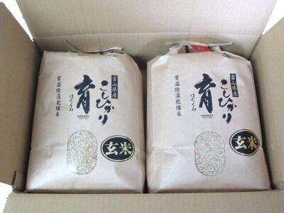 【令和7年産】富山県産こしひかり　育（はぐくみ）玄米　5キロ×２個セット《南砺の逸品》