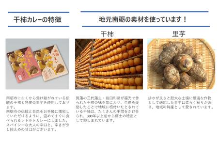 南砺うまい干し柿カレー(辛口)