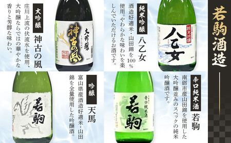 南砺市 地元酒蔵3社の日本酒 厳選 12本セット