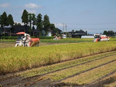 【令和7年産】富山県産こしひかり　育（はぐくみ）白米　5キロ×２個セット《南砺の逸品》