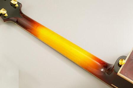 【ギター】S.Tsuji　DA-17　Model《南砺の逸品》