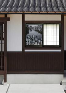 グッドデザイン賞受賞　網戸張替シート【縄が池の水芭蕉】