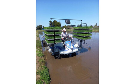 【令和7年産】みどりふぁーむのコシヒカリ 10kg