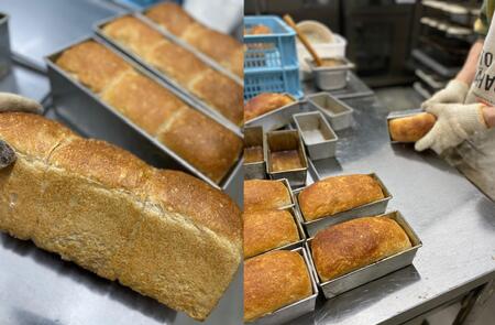 【定期便12か月】天然酵母パン LAW