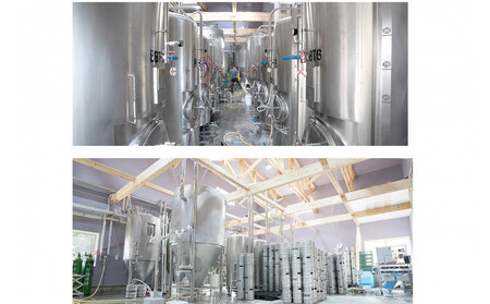 【定期便３回】城端麦酒　おまかせ１２本入り《南砺の逸品》