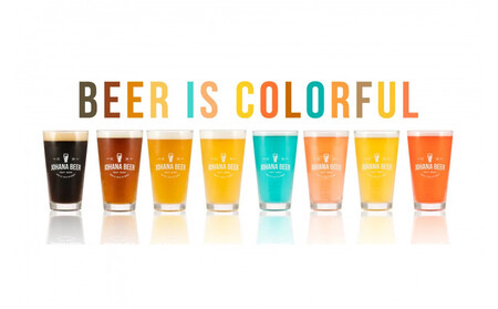 【定期便６回】城端麦酒　おまかせ１２本入り《南砺の逸品》