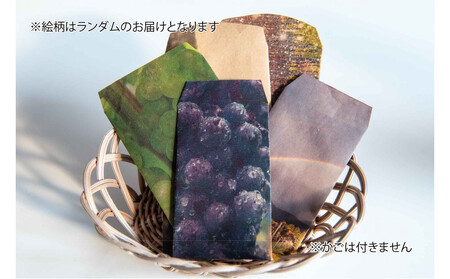 立野原 カベルネフラン&タナ2023 ワイナリー風景ポチ袋5枚セット付き