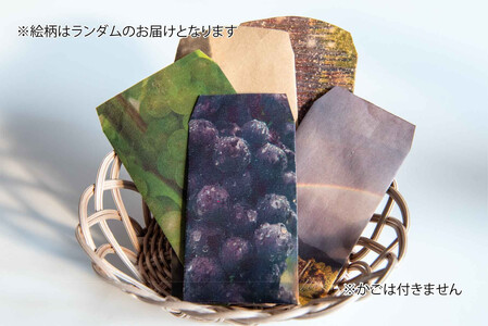 立野原 シャルドネ 2022 ワイナリー風景ポチ袋5枚セット付き