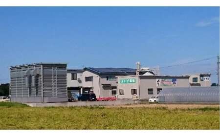 【令和7年産】定期便・12回  富山県産こしひかり 　育（はぐくみ）  白米５kg×２袋《南砺の逸品》