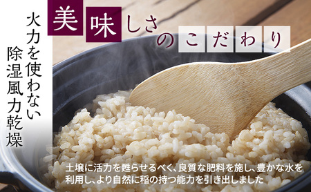 令和5年産】富山県産こしひかり 育（はぐくみ）玄米30kg《南砺の逸品