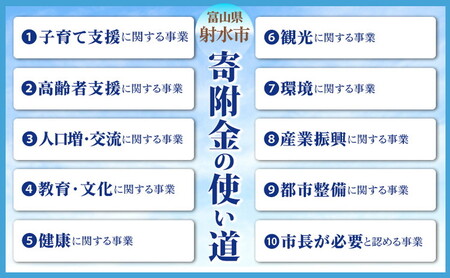 富山県射水市　応援寄附（返礼品なし） 10,000円