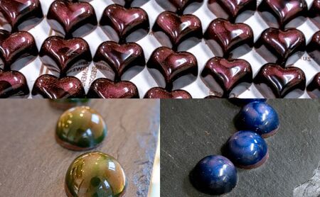 チョコレート ショコラ10個入/パティスリーサクライ/菓子 チョコ ショコラ お酒 ウイスキー 北陸 /富山県射水市