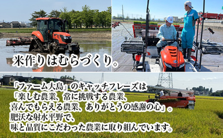 【R7年度産米】総理大臣賞受賞 人気のブランド米「富富富」10kg（5kg×2）【玄米】｜ お米 令和7年産米 銘柄米 こめ 小分け 5kg 10kg 5キロ 10キロ 三世代交流 白米 富山県 射水市おおしま ほほ笑み米 ※離島への配送不可