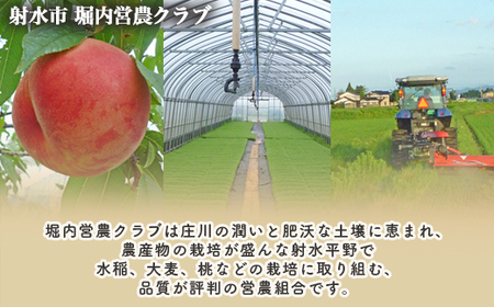 【射水市】【射水の美味しいお米】ほりうち米R8年度産ミルキークイーン10kg（5kg×2）【無洗米】※2026年9月下旬～10月中旬頃に順次発送予定 ※離島への配送不可