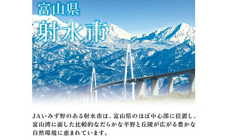 [射水市][射水のうんまいお米] 越中いみず野米一番 （コシヒカリ） パックごはん180g 10個入り ※離島への配送不可
