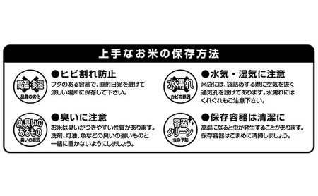 [射水市][射水のうんまいお米] 越中いみず野米一番 （コシヒカリ） パックごはん180g 36個入り ※離島への配送不可