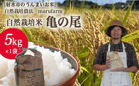 【射水の美味しいお米】【自然栽培農法】自然栽培農家 marufarm 自然栽培米「亀の尾」5kg ※離島への配送不可