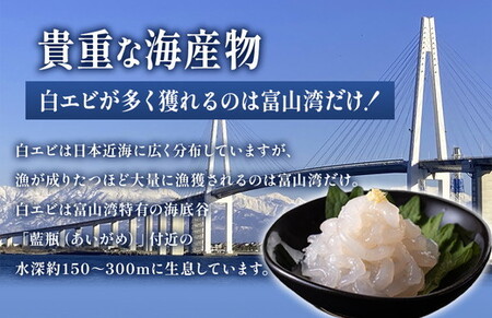 シロエビ刺身100g×2