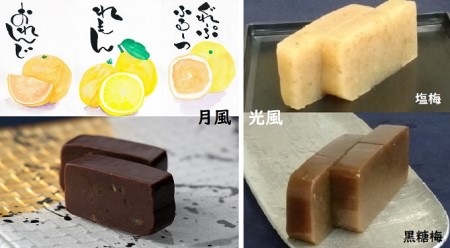 ミニ羊羹5本セット(風りゅうようかん「光風」・「月風」5種)