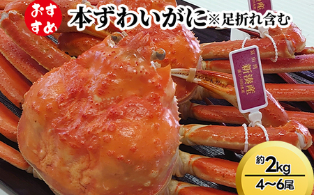 【おすすめ】本ずわいがに約2kg(4~6尾)※足折れ含む