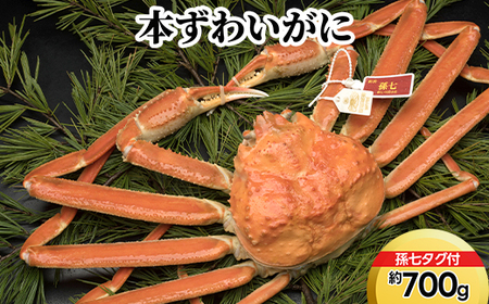 本ずわいがに約700g(孫七タグ付)
