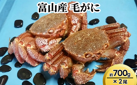 富山産 毛がに約700g ×2尾