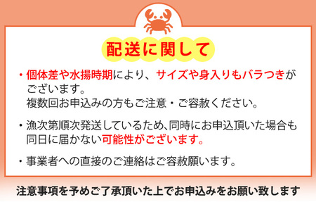 富山産　毛がに約500g×2尾　※2025年11月中旬～2026年3月中旬頃に順次発送予定　※沖縄・離島への配送不可