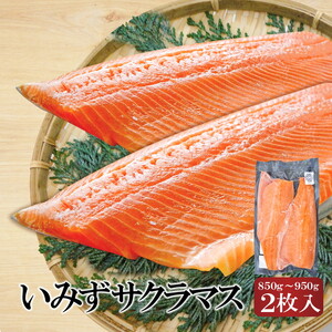 魚 鮭 切身 いみずサクラマス 2枚入(約850g～約950g)おつまみ 弁当 サーモン グルメ 食品/富山県射水市